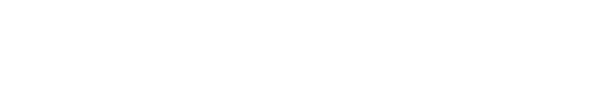 v1-FutureBridge_Logotype_White_RGB-2